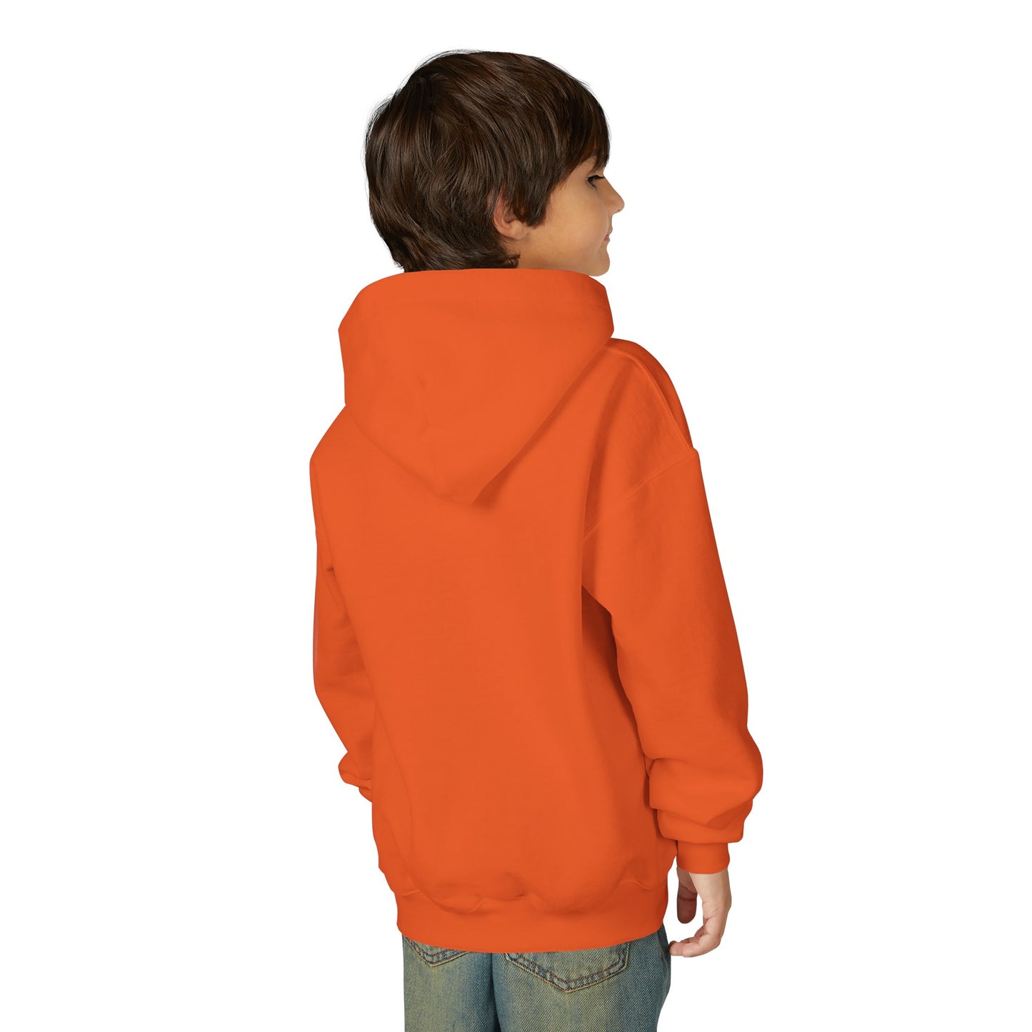 Cute Lion Explorer Youth Sweatshirt