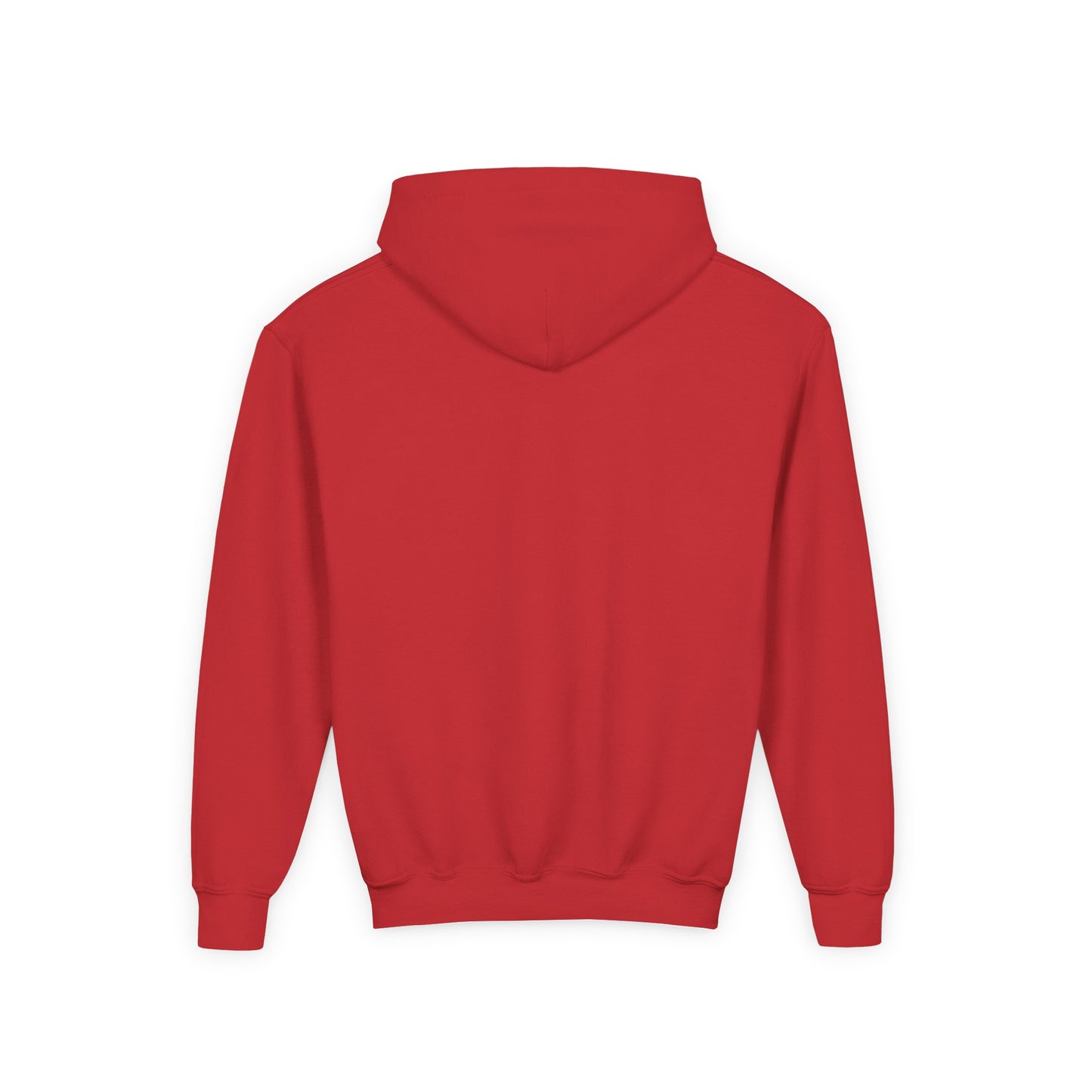 Cute Lion Explorer Youth Sweatshirt