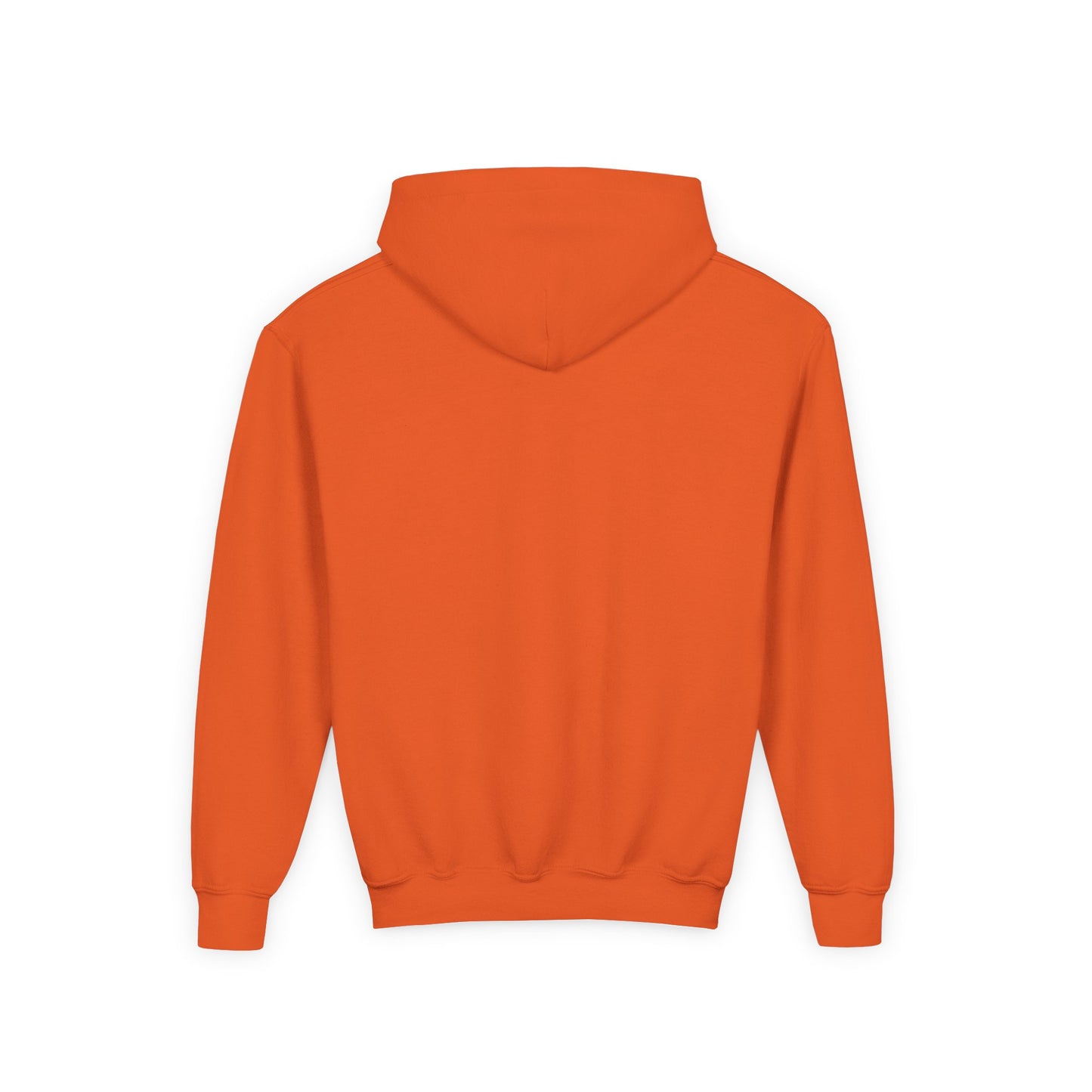 Cute Lion Explorer Youth Sweatshirt