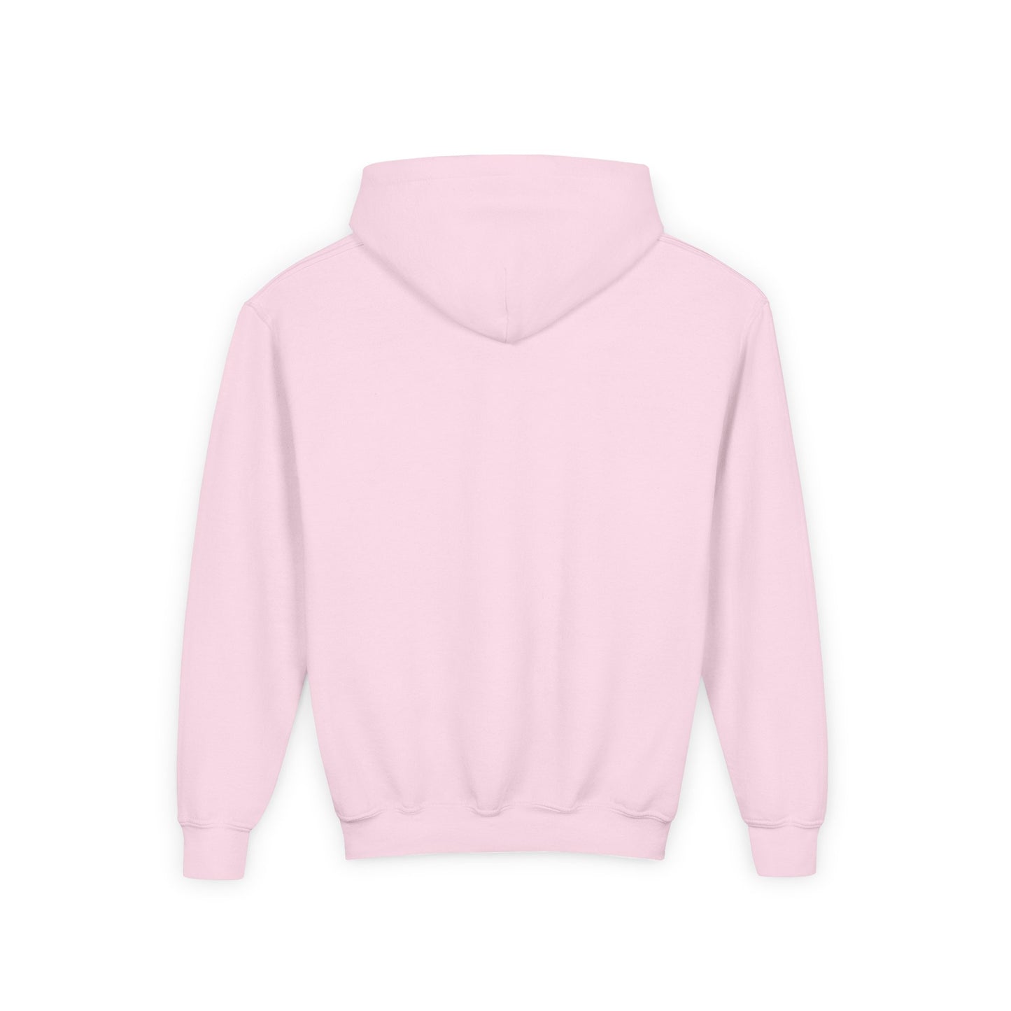 Cute Lion Explorer Youth Sweatshirt
