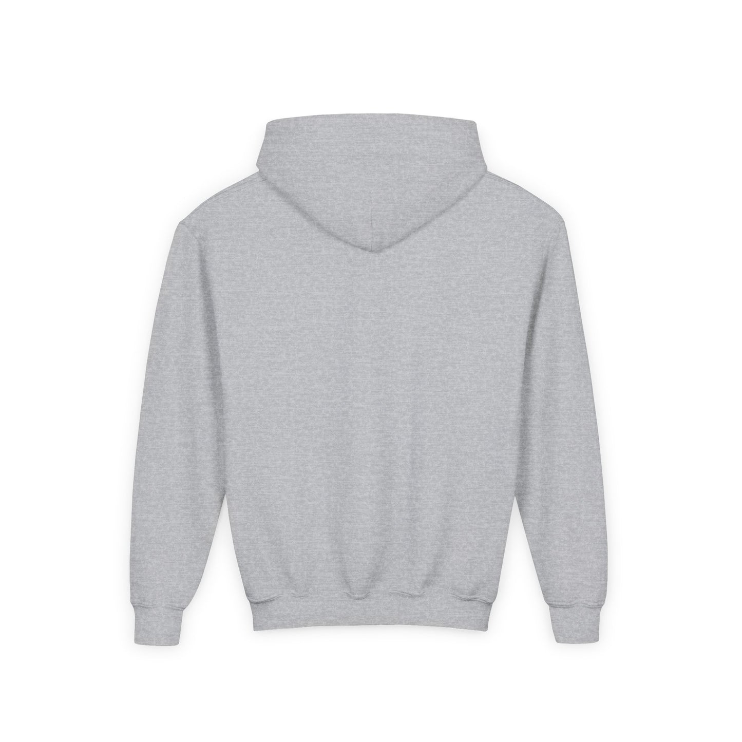 Cute Lion Explorer Youth Sweatshirt